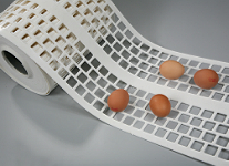 自動產蛋箱雞蛋輸送帶，集蛋帶